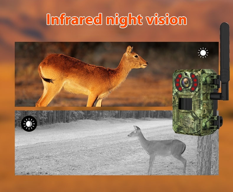 Title 11, Outdoor Solar Camera Forest Protection HD Infrared