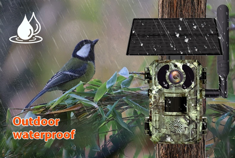 Title 2, Outdoor Solar Camera Forest Protection HD Infrared