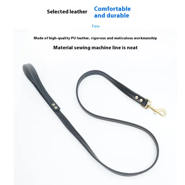 Roran High grade PU Leather Pet Traction Belt Black - Shop at LoveMi