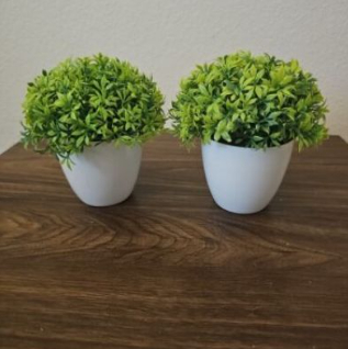 Green With Basin
