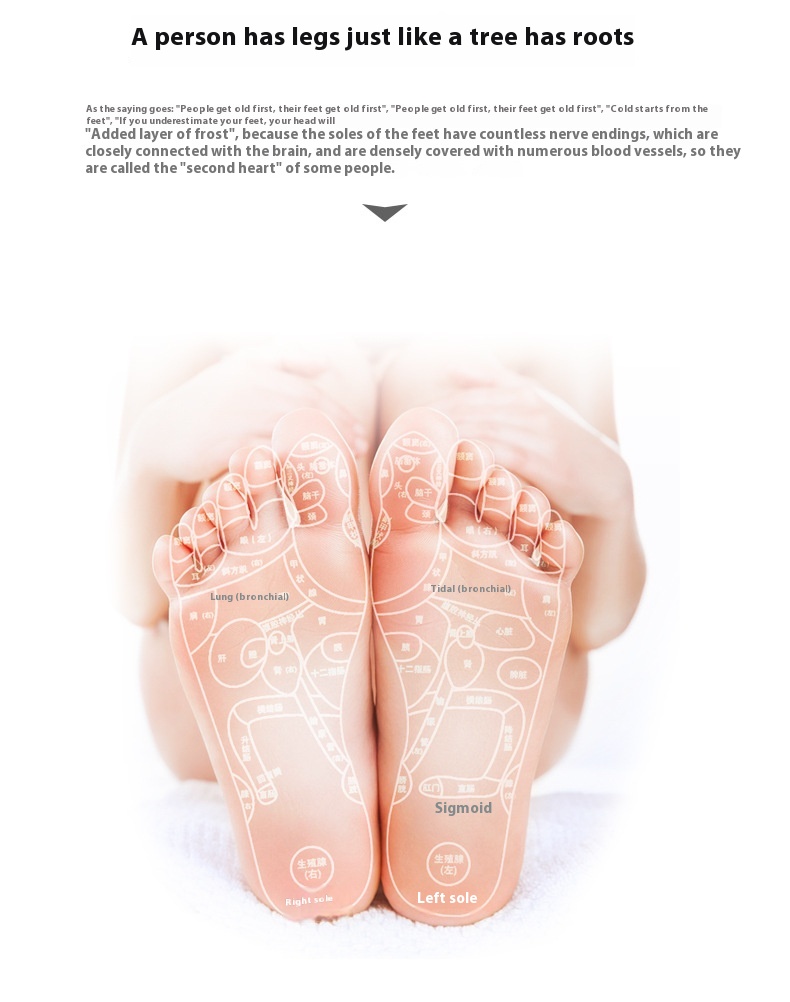 Title 8, Simple Foot Acupoint Massager