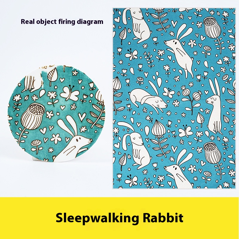 No 13 Sleepwalking Rabbit