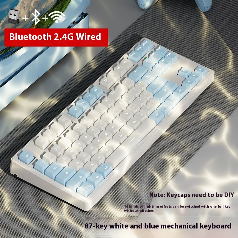 White And Blue 87 Key