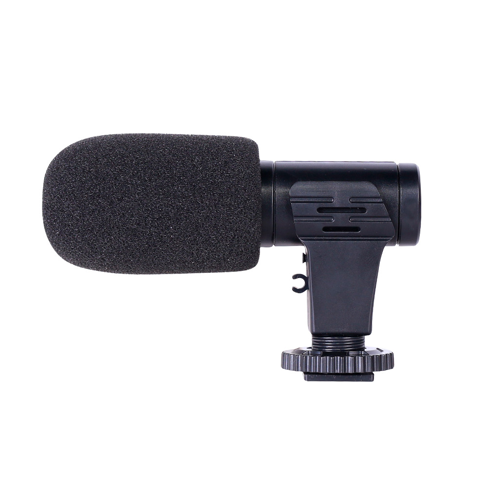 Microphone