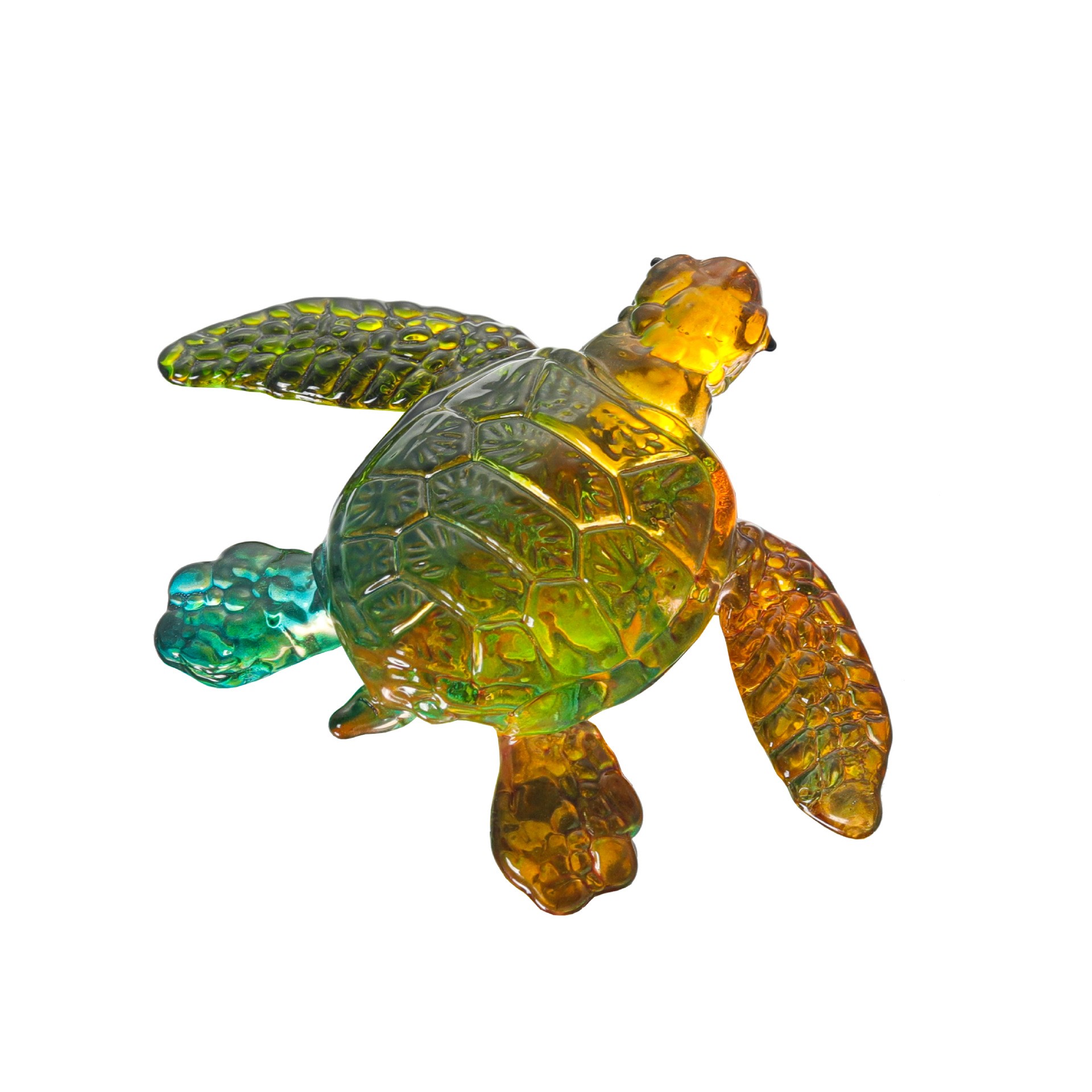 Sea Turtle Colorful