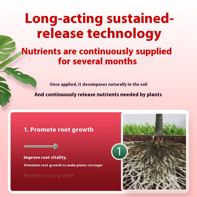 Title 2, Slow Release Fertilizer Pieces English Version ...