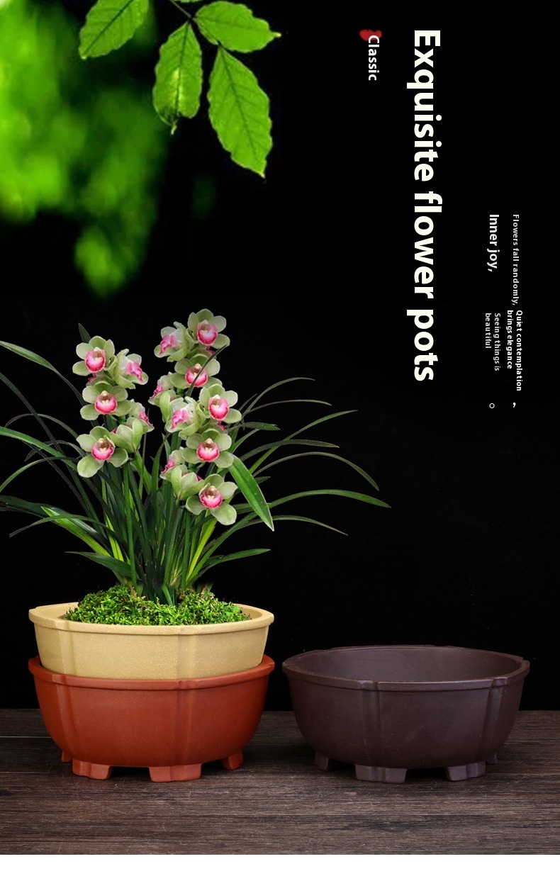 Title 5, Purple Sand Orchid Pots Household Round Desktop...