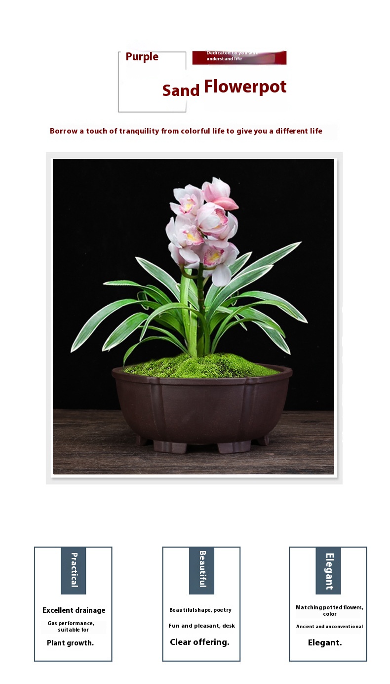 Title 4, Purple Sand Orchid Pots Household Round Desktop...