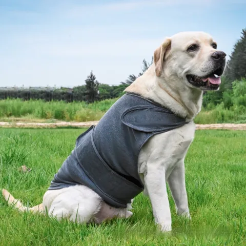 Pet Soothing Clothes for Dogs to Relieve Separation Anxiety