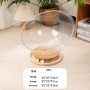 Large Size