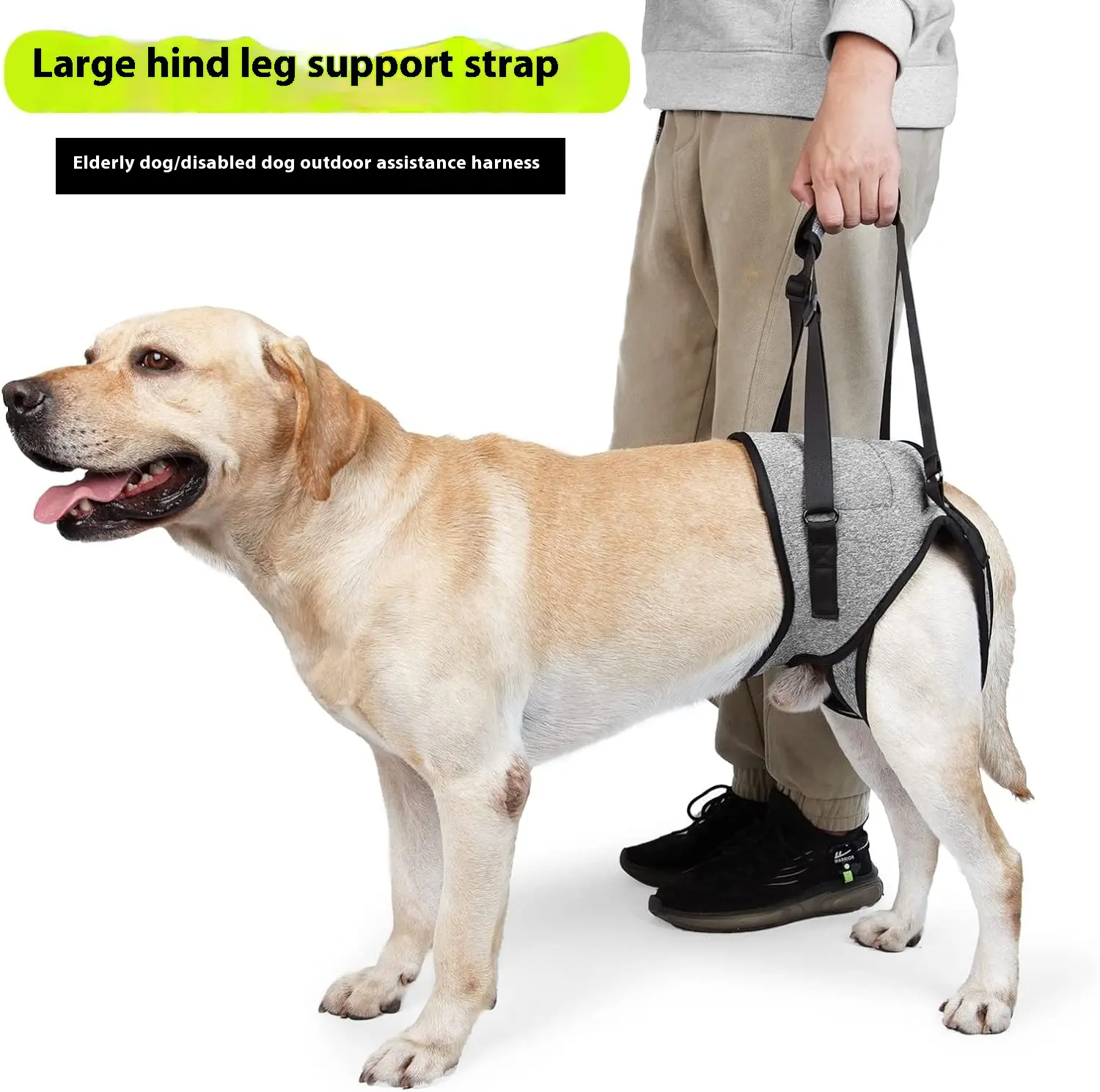 Hot Selling Pet Supplies Injured Dog Rear