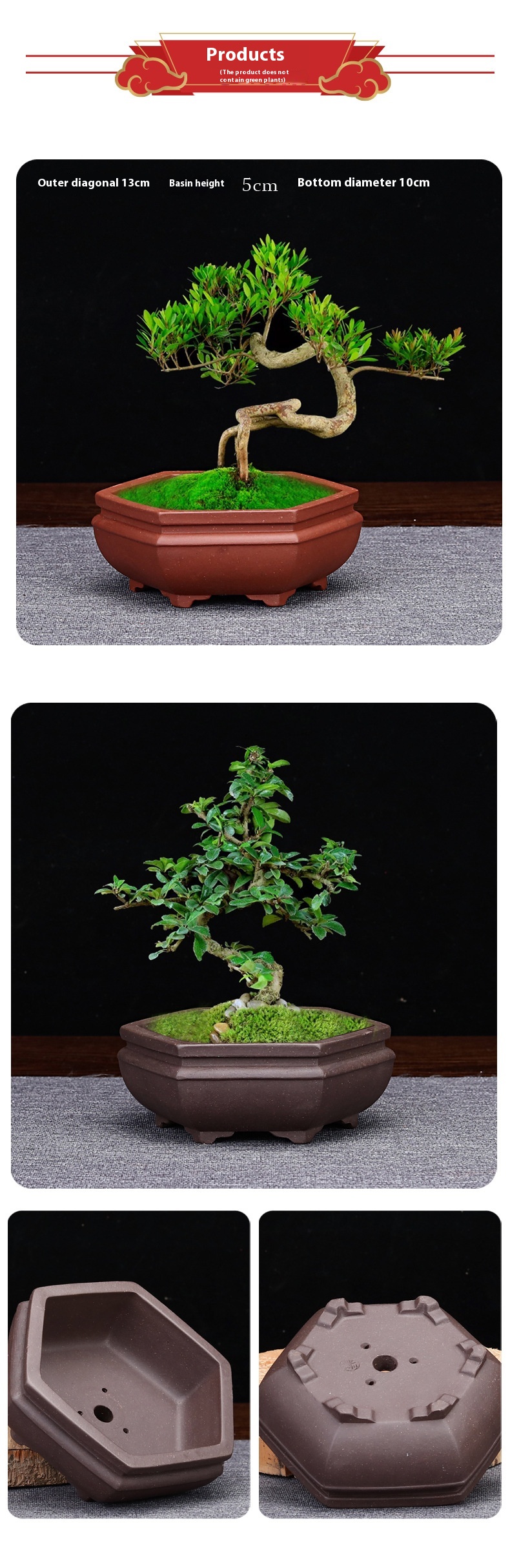 Title 2, Purple Sand Flower Pot Small Size Mini Desktop ...