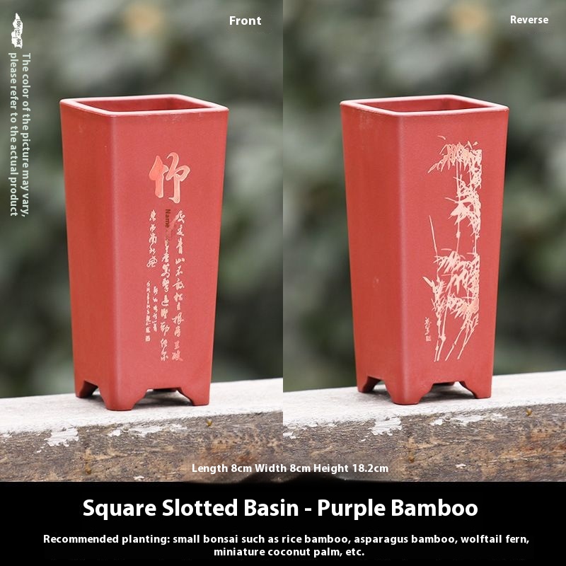 Purple Bamboo