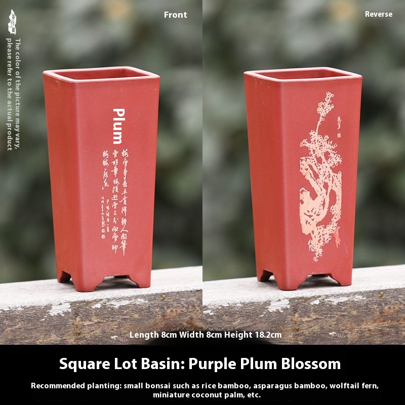 Crimson purple plum