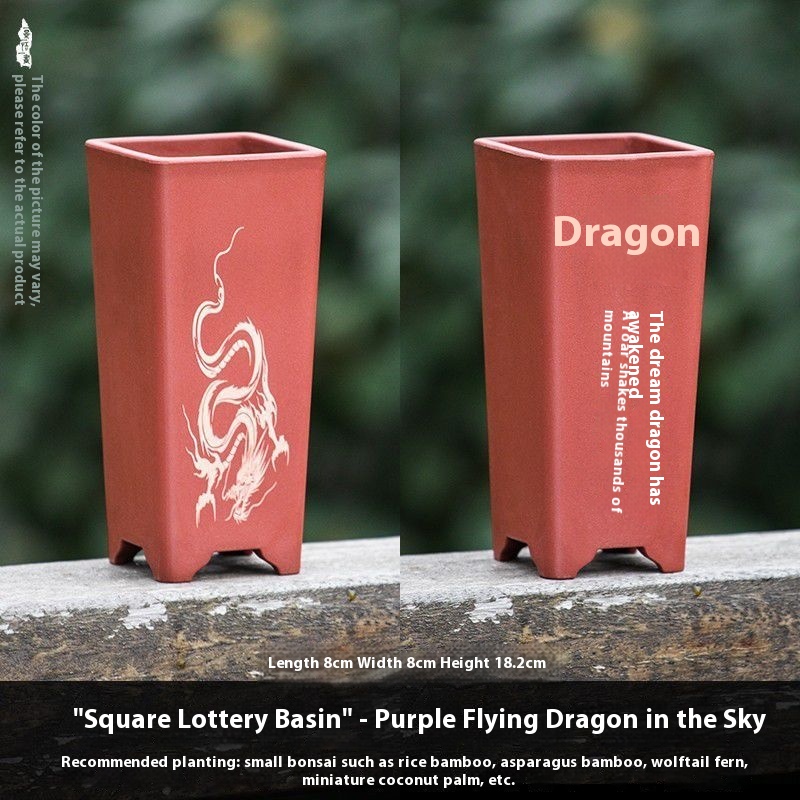 Purple Dragon