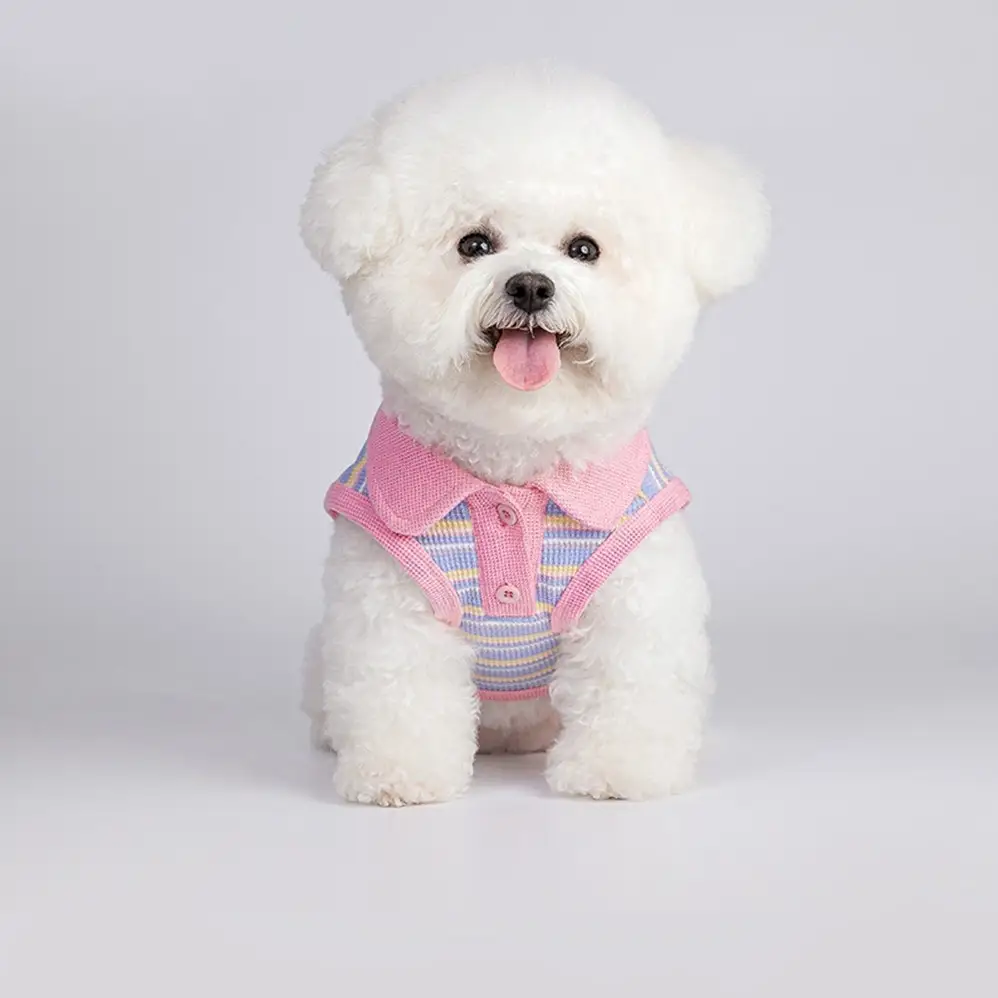 Small Dog Pet Cat Autumn Vest