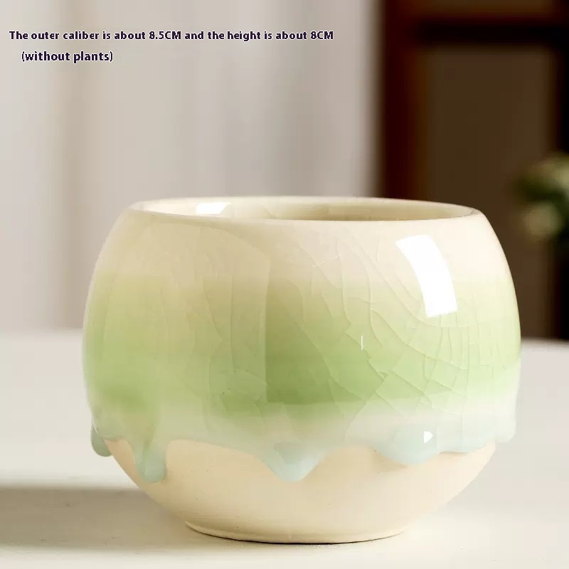 Title 3, Flow Glaze Ice Crack Large Diameter Succulent C...