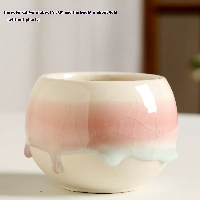 Title 5, Flow Glaze Ice Crack Large Diameter Succulent C...