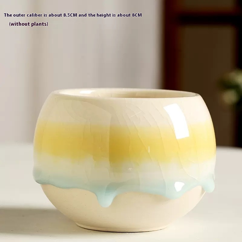 Title 2, Flow Glaze Ice Crack Large Diameter Succulent C...