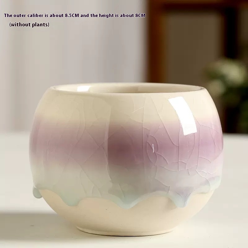 Title 4, Flow Glaze Ice Crack Large Diameter Succulent C...