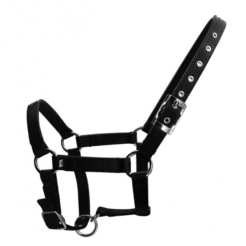 Title 3, 25mm Wide Thickened Pp Braid Pull Horse Halter ...