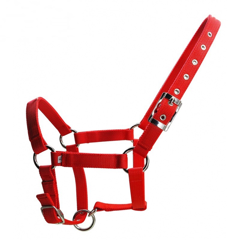 Title 4, 25mm Wide Thickened Pp Braid Pull Horse Halter ...