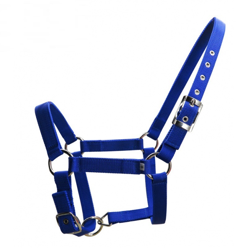 Title 5, 25mm Wide Thickened Pp Braid Pull Horse Halter ...