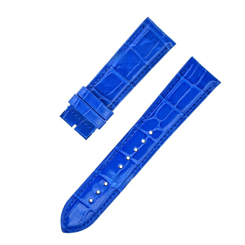 Blue No Watch Buckle