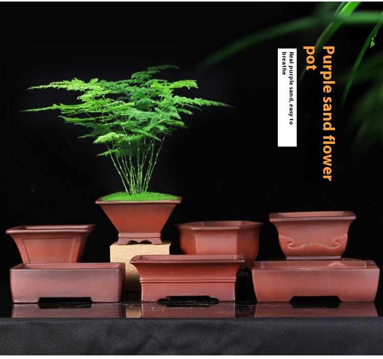 Title 6, Purple Sand Bonsai Square Classical Potted Flow...