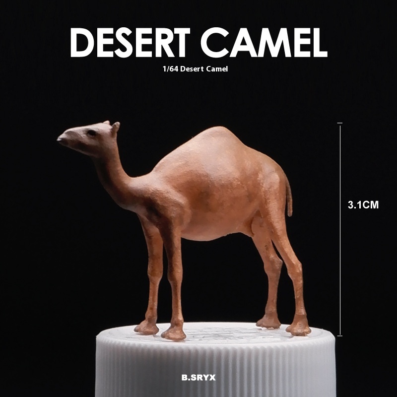 Camel