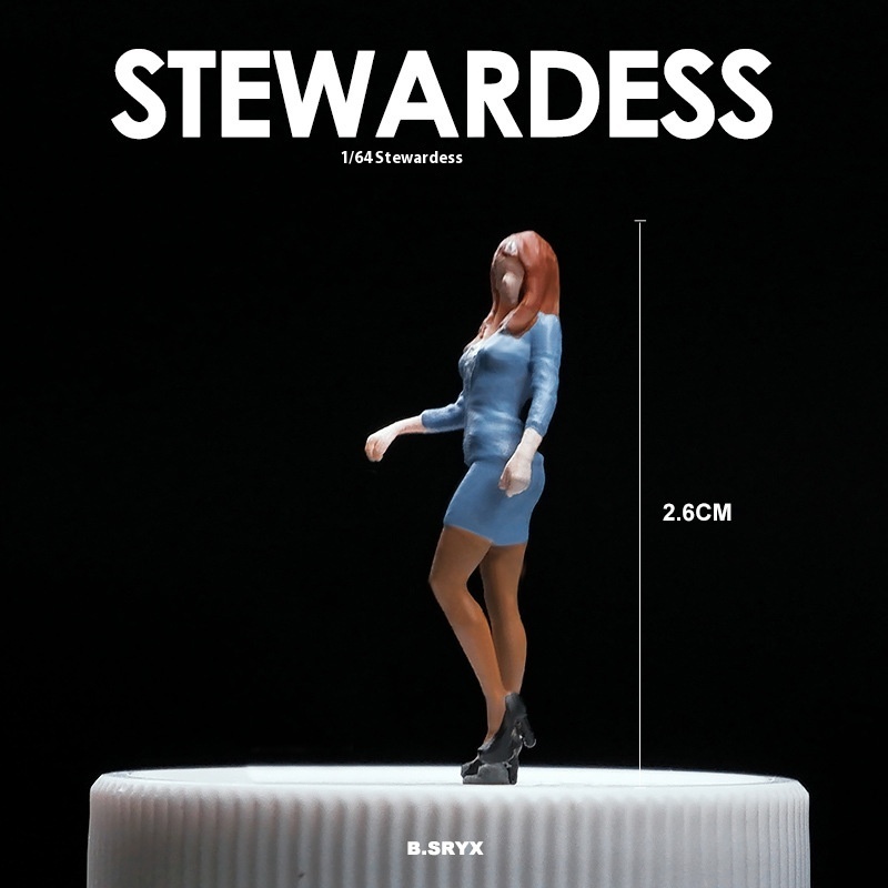 Stewardess