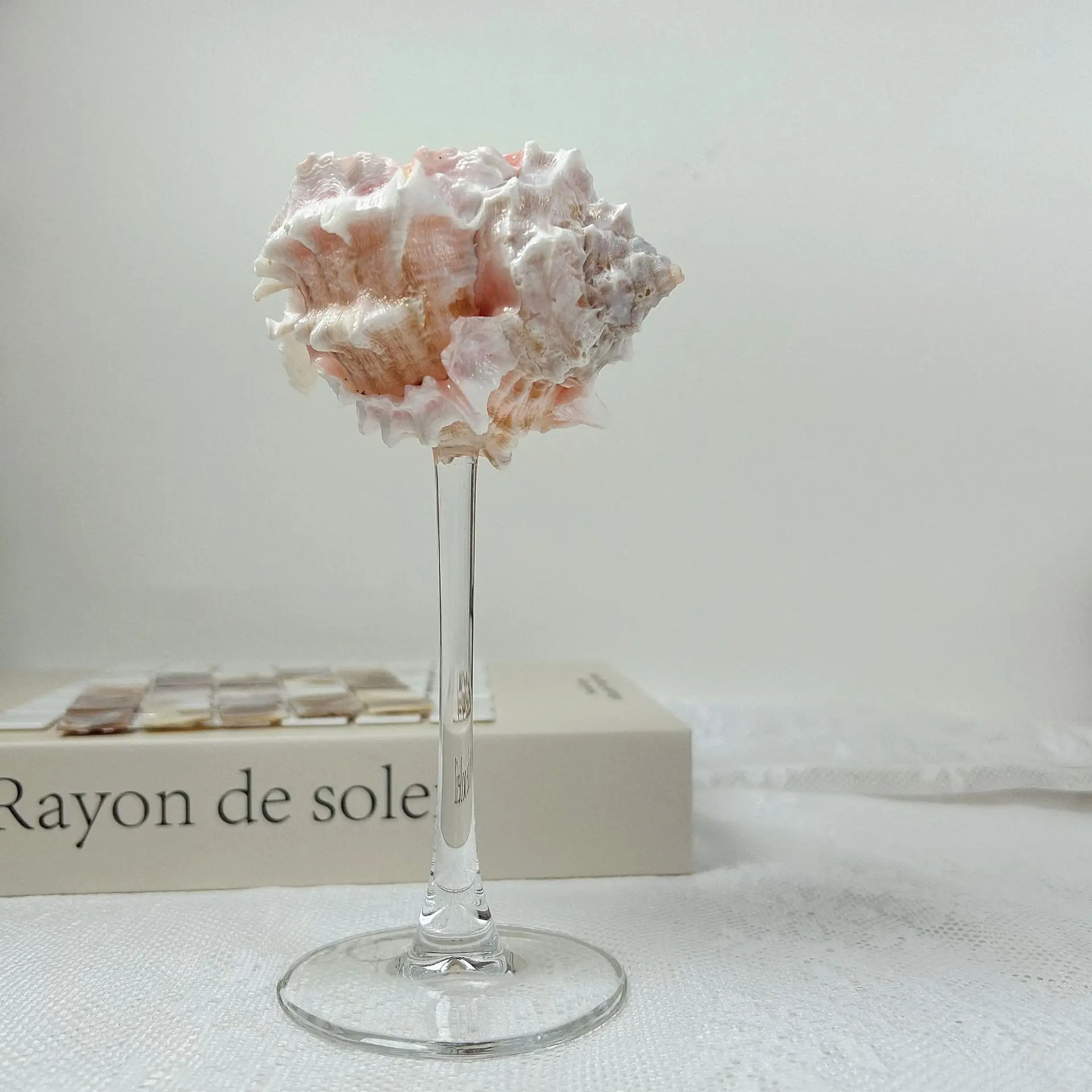 Shell Conch Wine Glass Aromatherapy Dish Decoration Cup