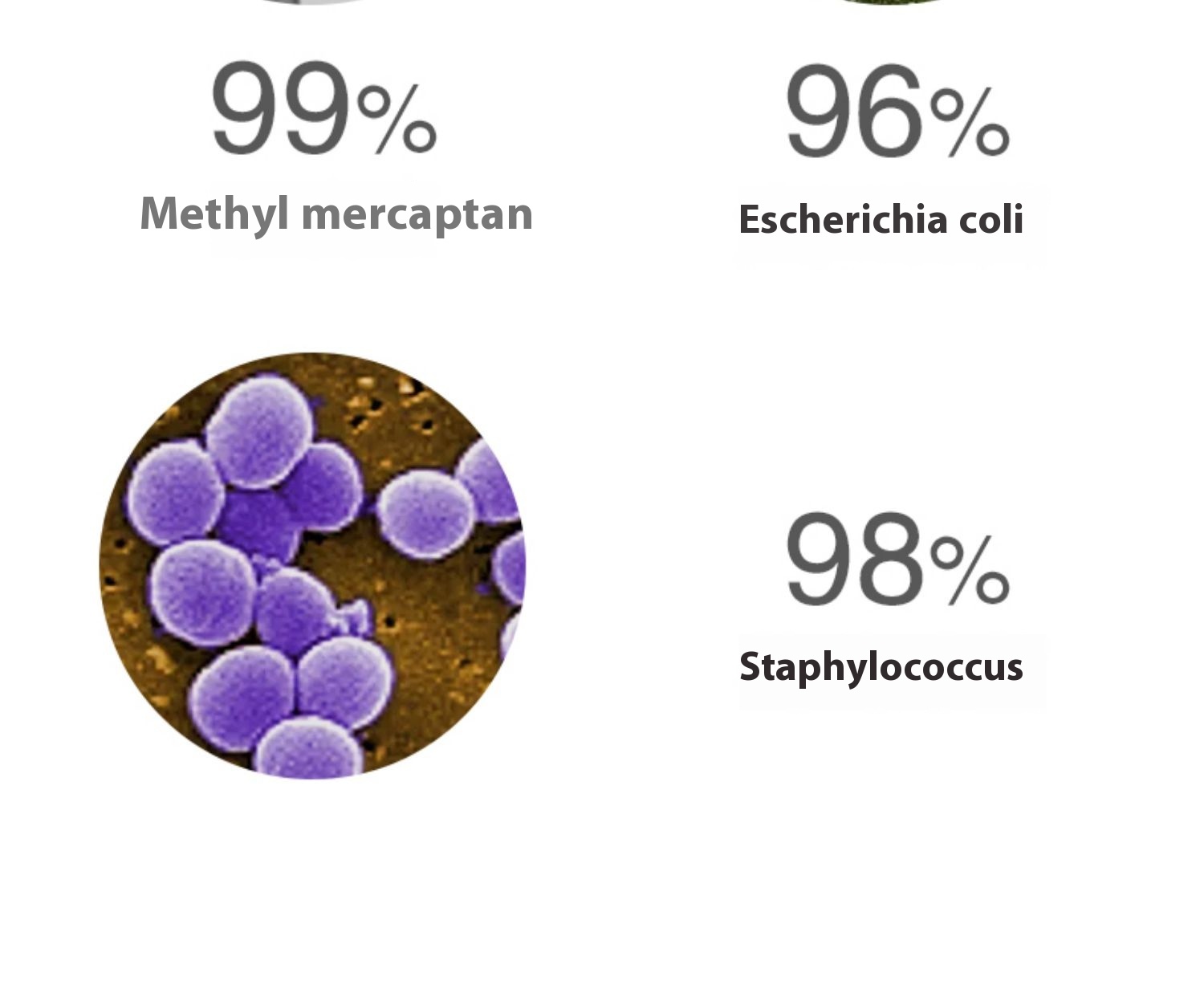 Title 3, Formaldehyde Removal Sterilization And Odor Rem...