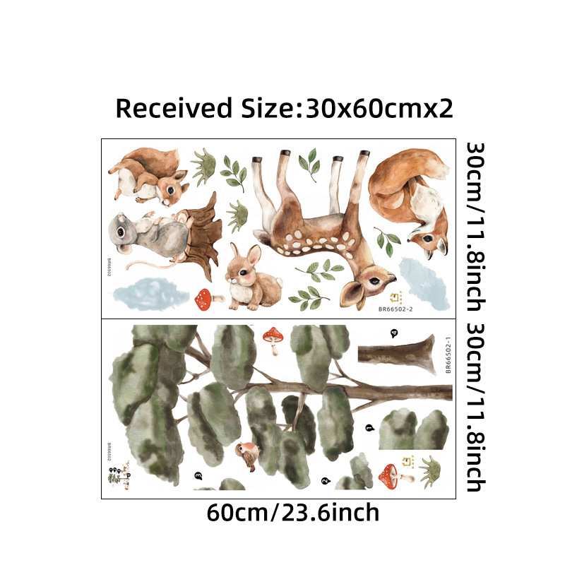 30X60CMX2 layout