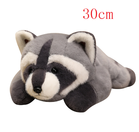 30cm