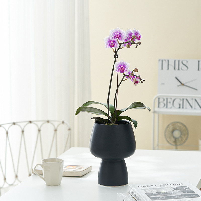 Title 3, Minimalist Desktop Home Ceramic Flower Ware