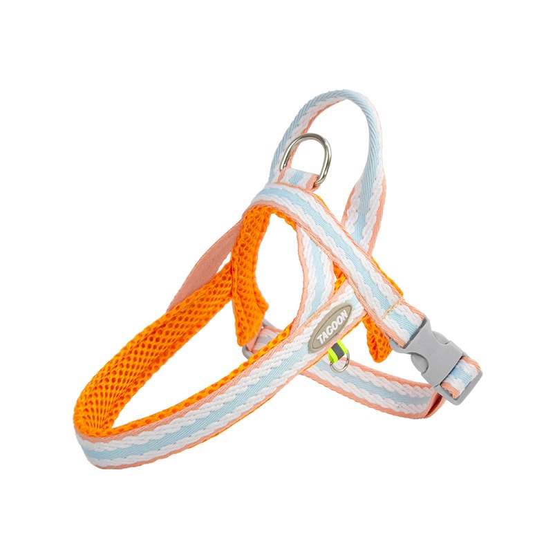 Coral Orange