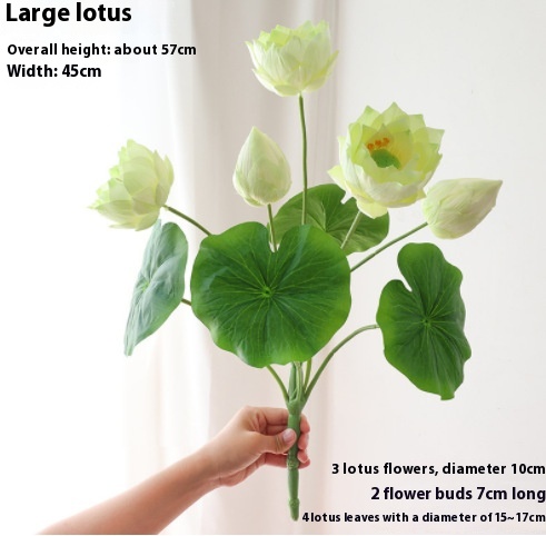 Green Lotus