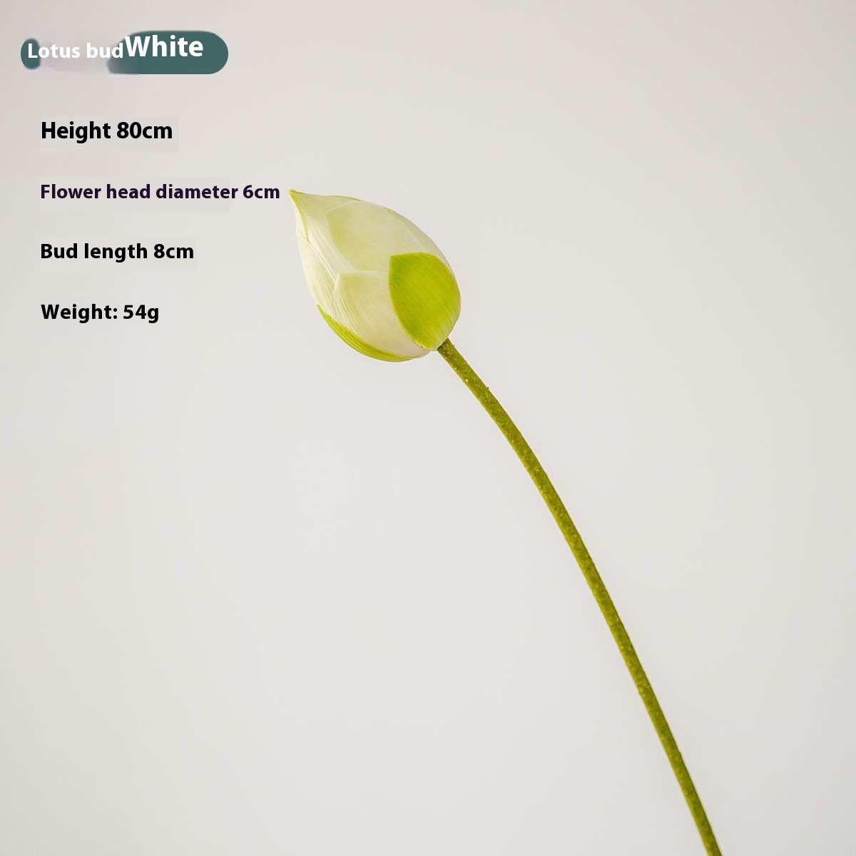 Lotus Bud White