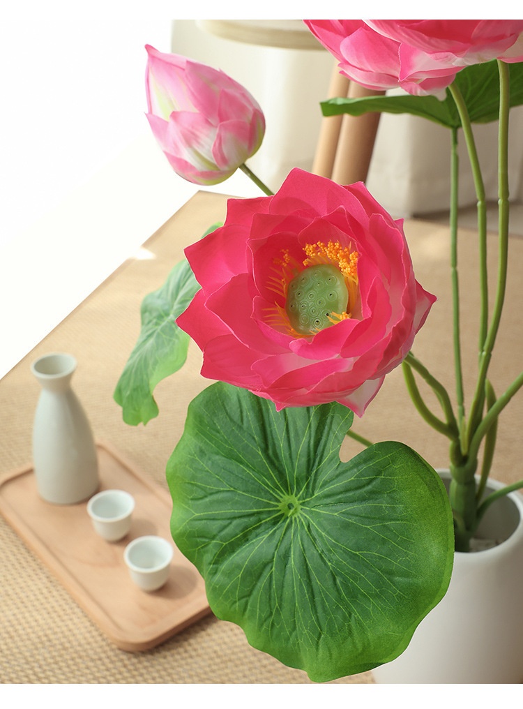 Title 7, Simulation Lotus Lotus Seedpod Single Living Ro...