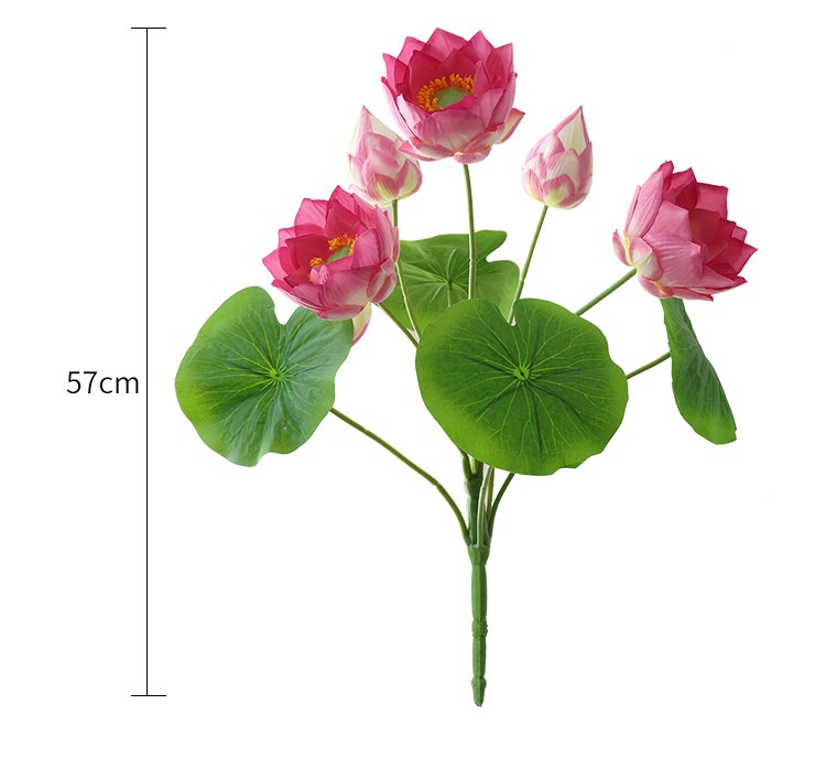 Title 2, Simulation Lotus Lotus Seedpod Single Living Ro...