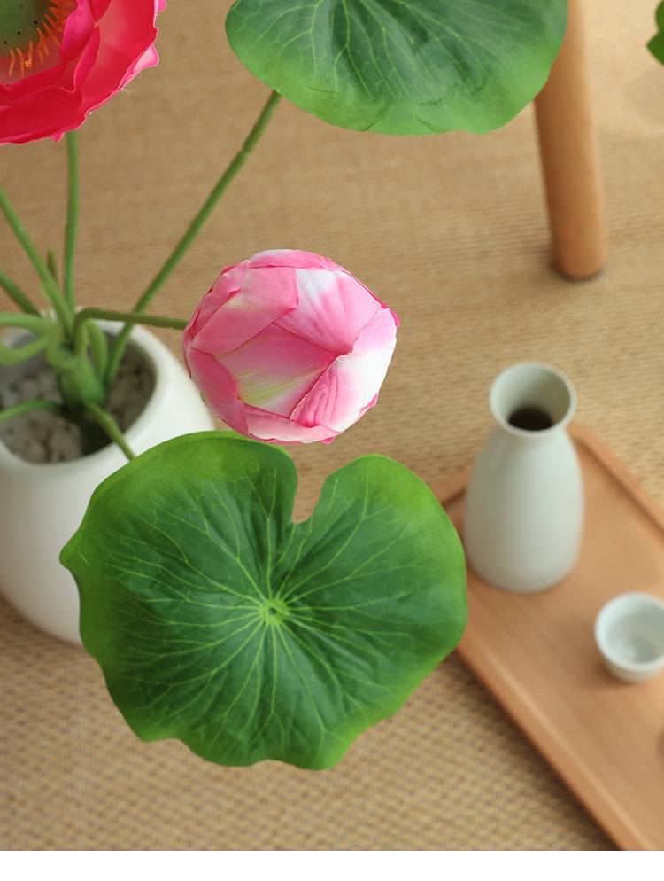 Title 17, Simulation Lotus Lotus Seedpod Single Living Ro...