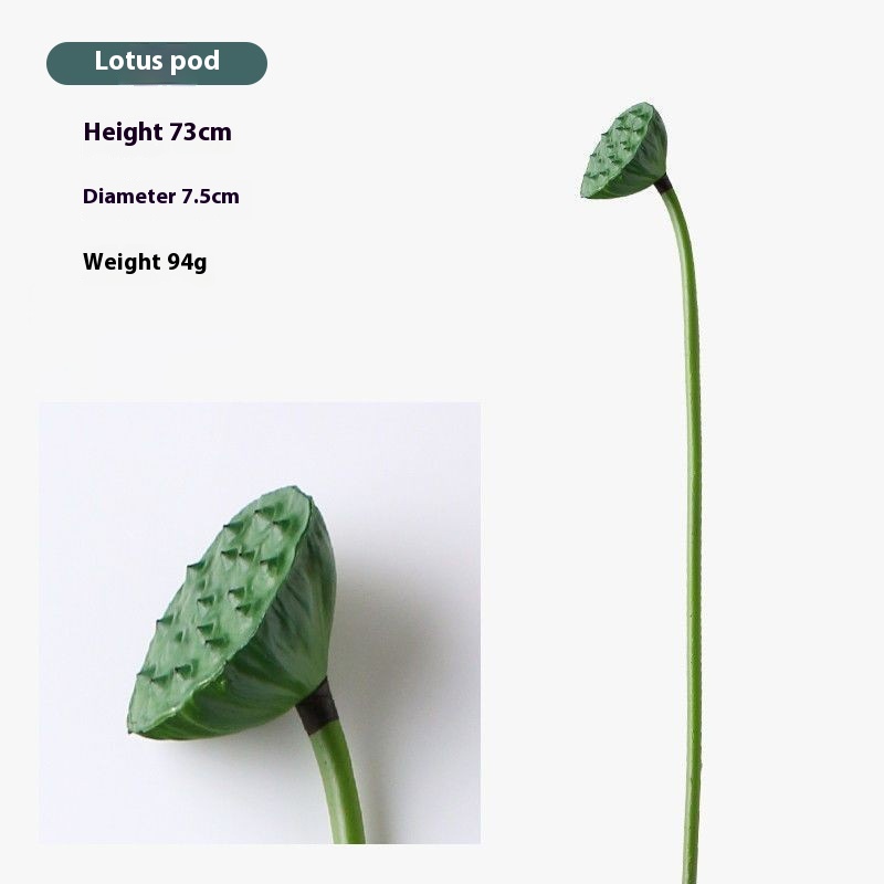 Lotus Seedpod