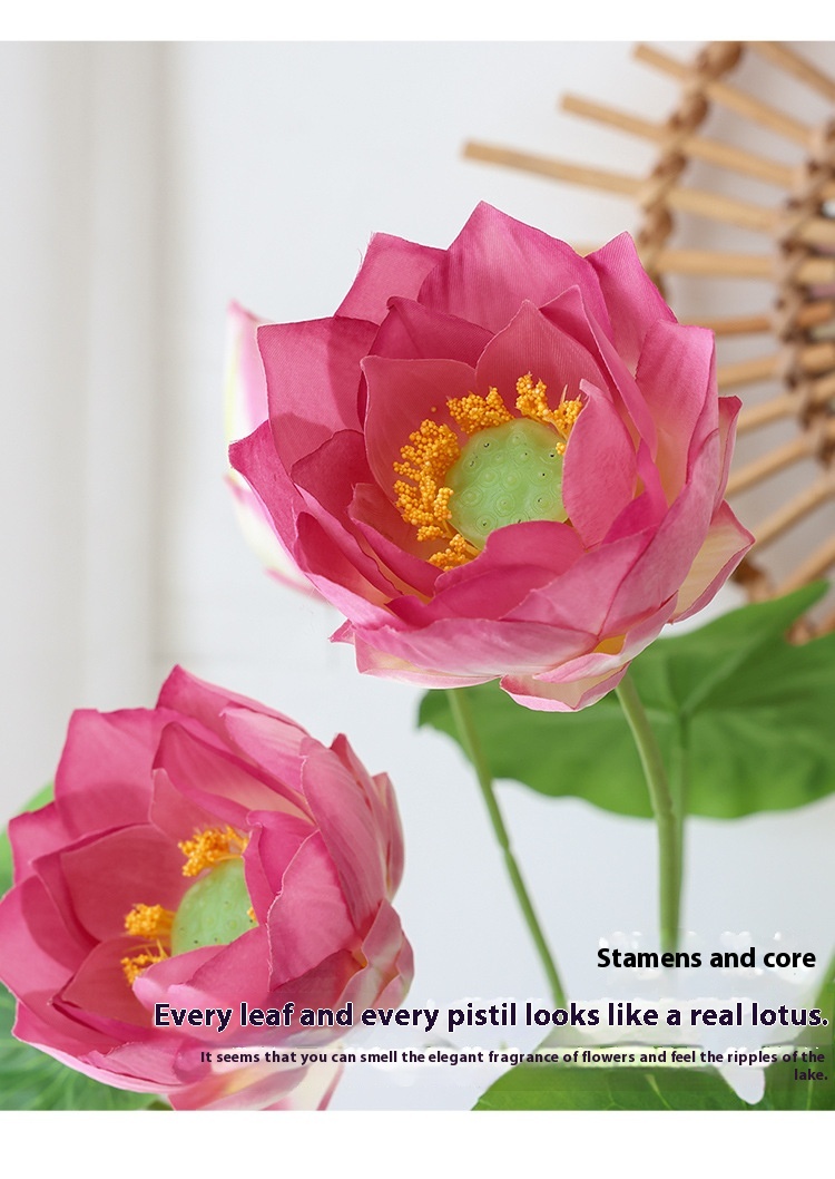 Title 18, Simulation Lotus Lotus Seedpod Single Living Ro...