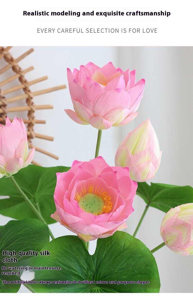 Title 19, Simulation Lotus Lotus Seedpod Single Living Ro...