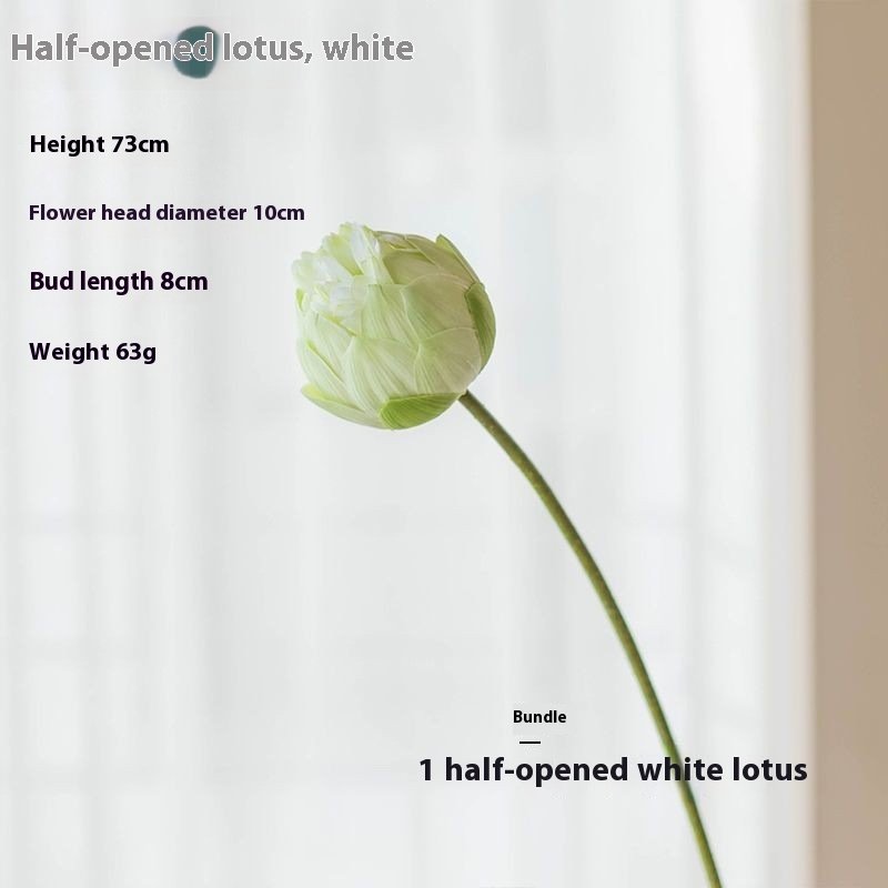 Half Lotus White