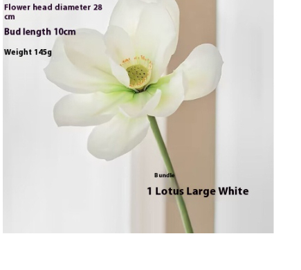 Lotus Flower White