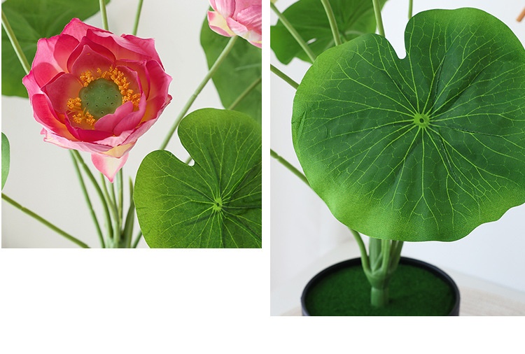 Title 9, Simulation Lotus Lotus Seedpod Single Living Ro...