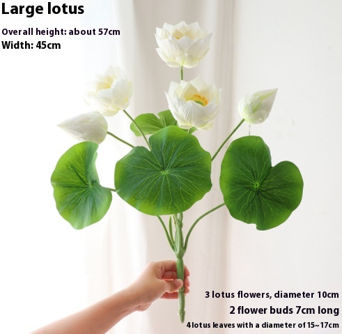 White Lotus