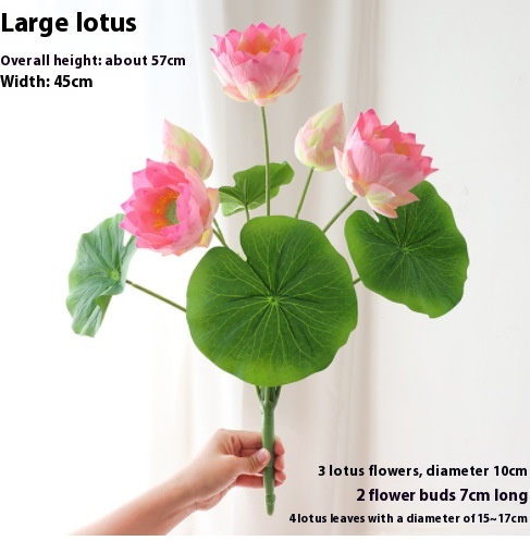 Light Pink Lotus